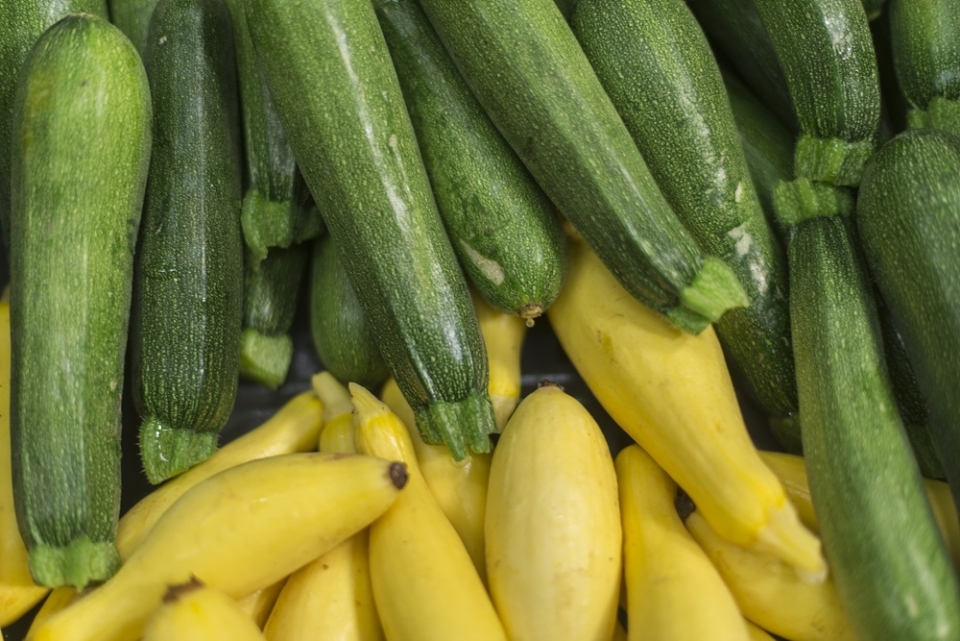 Fruitful Hill Zucchini4 Small