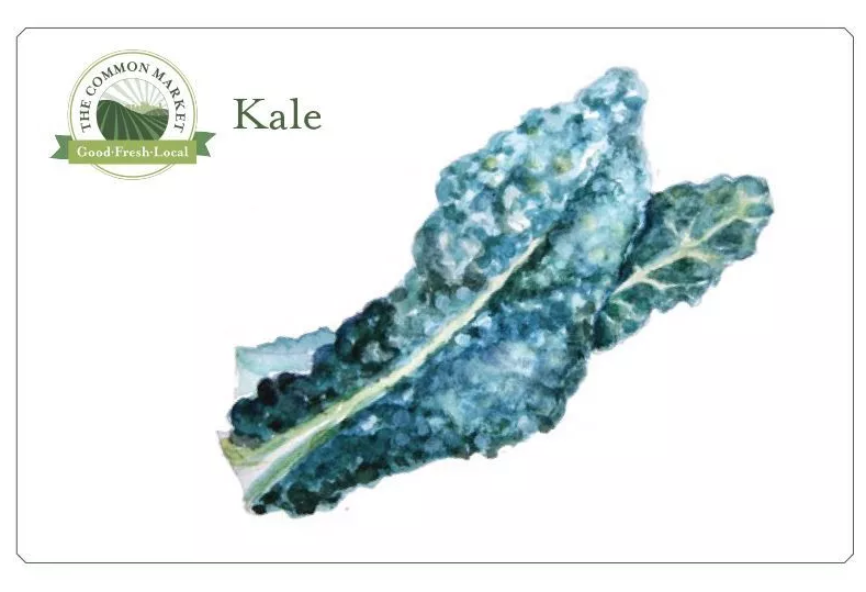 Kale Front Recipe