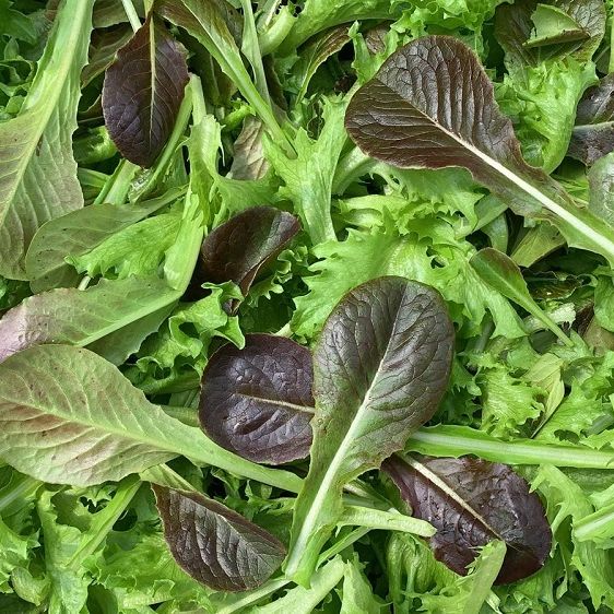 Element Farms Beautiful Spring Mix Small NJ Common Market