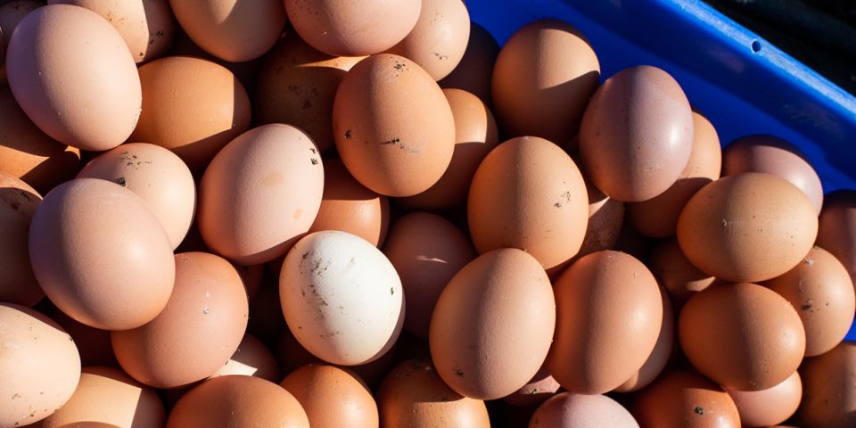 Common Market Bda Farm Eggs 9 Small Blog